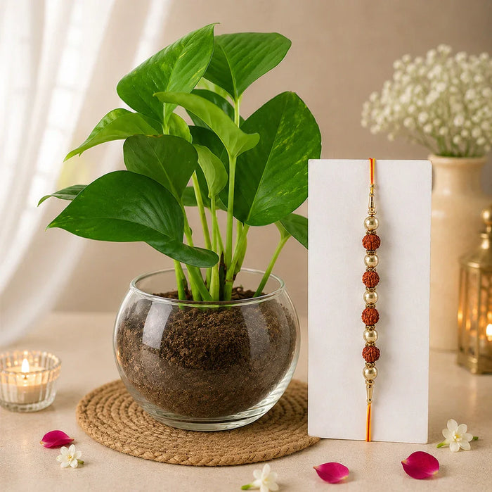 Rakhi + Dry Fruits
